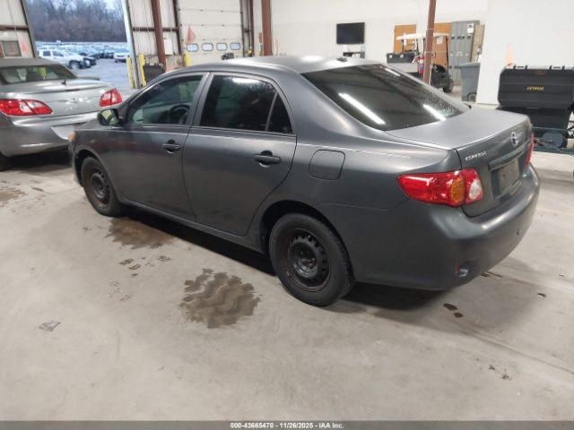 2010 TOYOTA COROLLA 2T1BU4EE2AC507658 Photo 2