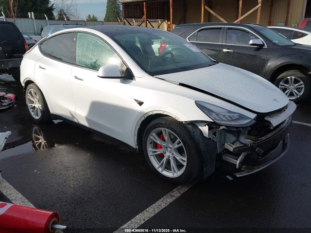 2021 TESLA MODEL Y 5YJYGDEF4MF087539 Photo 0