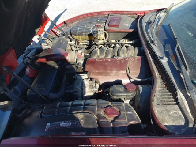 2002 CHEVROLET CORVETTE 1G1YY22G925121092 Photo 9