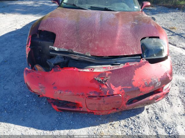 2002 CHEVROLET CORVETTE 1G1YY22G925121092 Photo 5