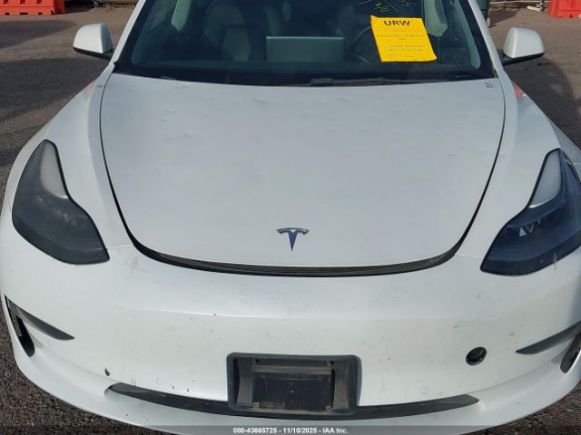 2022 TESLA MODEL 3 5YJ3E1EB0NF194746 Photo 5