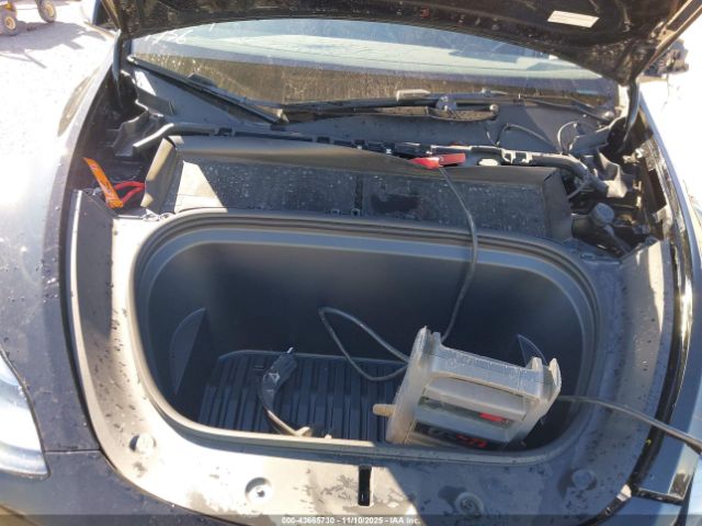 2025 TESLA MODEL Y 7SAYGDED9SA347736 Photo 9