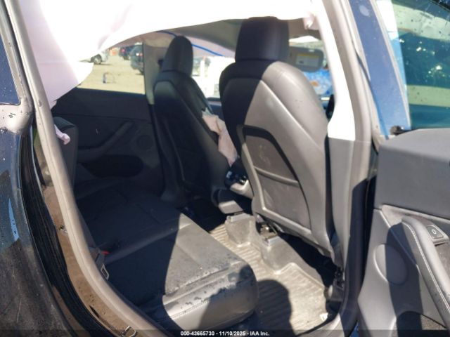 2025 TESLA MODEL Y 7SAYGDED9SA347736 Photo 7