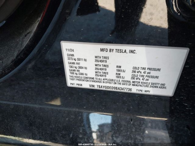 2025 TESLA MODEL Y 7SAYGDED9SA347736 Photo 8