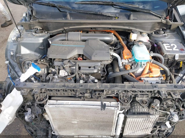 Продаж на аукціоні авто 2024 Kia Sportage Plug-in Hybrid X-line, vin: KNDPYDDH3R7163177, номер лоту: 43666553
