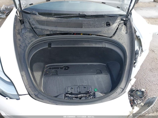 2020 TESLA MODEL 3 5YJ3E1EB9LF621712 Photo 9