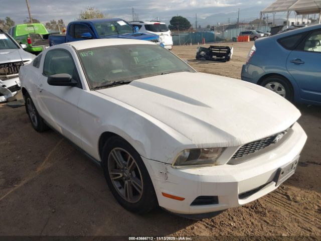 2011 FORD MUSTANG 1ZVBP8AM0B5111431