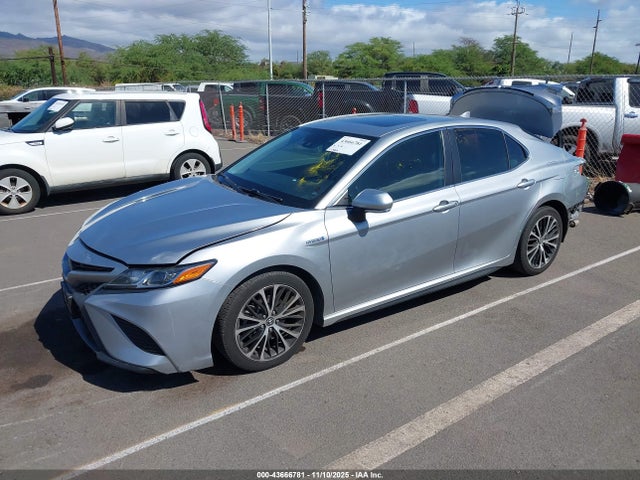 4T1J31AKXLU530986 Toyota Camry Se Hybrid
