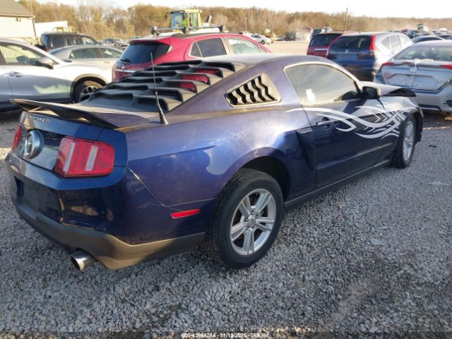 2010 FORD MUSTANG 1ZVBP8AN3A5150361 Photo 3