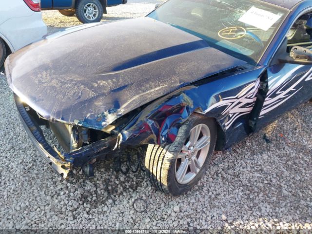 2010 FORD MUSTANG 1ZVBP8AN3A5150361 Photo 5