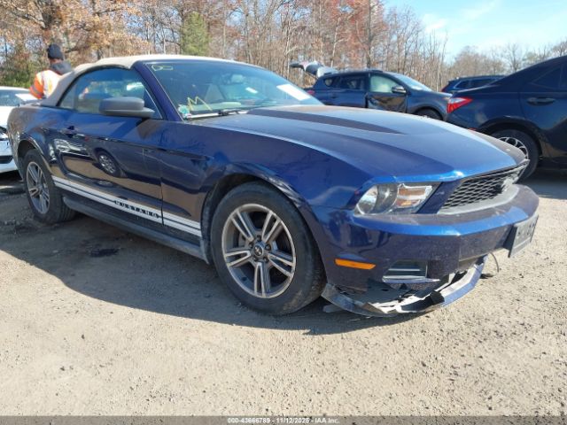 2010 FORD MUSTANG 1ZVBP8ENXA5109848