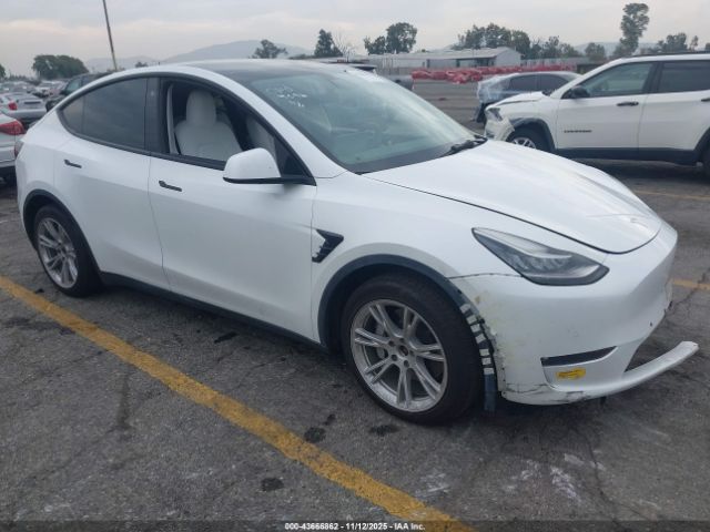 2022 TESLA MODEL Y 7SAYGAEE7NF486066 Photo 0