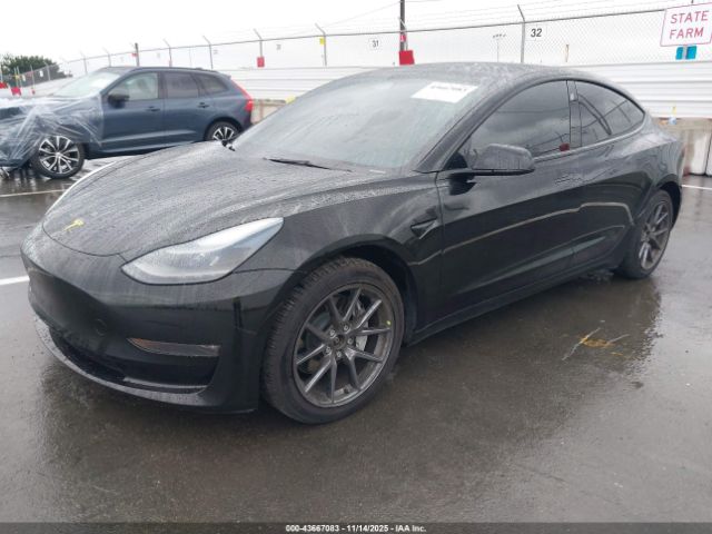 2023 TESLA MODEL 3 5YJ3E1EB3PF416201 Photo 1