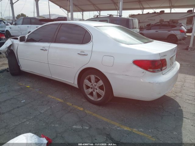 2006 LEXUS ES 330 JTHBA30G565165976 Photo 2