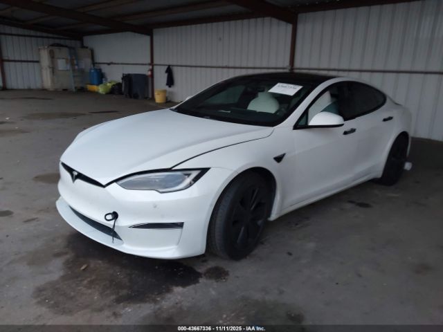 2023 TESLA MODEL S 5YJSA1E52PF499685 Photo 5