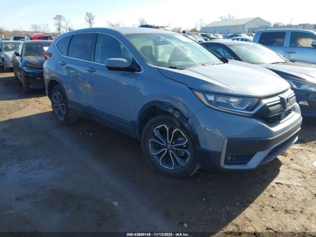 2020 HONDA CR-V 2HKRW2H51LH601989