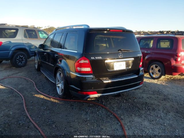 2010 MERCEDES-BENZ GL 550 4JGBF8GE3AA624017 Photo 2