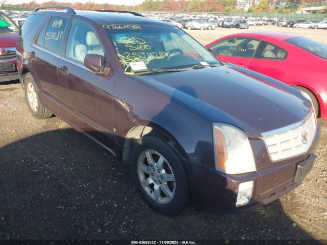 2006 CADILLAC SRX 1GYEE637960200879