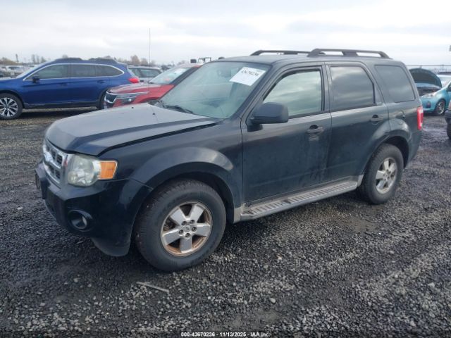 2009 FORD ESCAPE 1FMCU03779KB00149 Photo 1