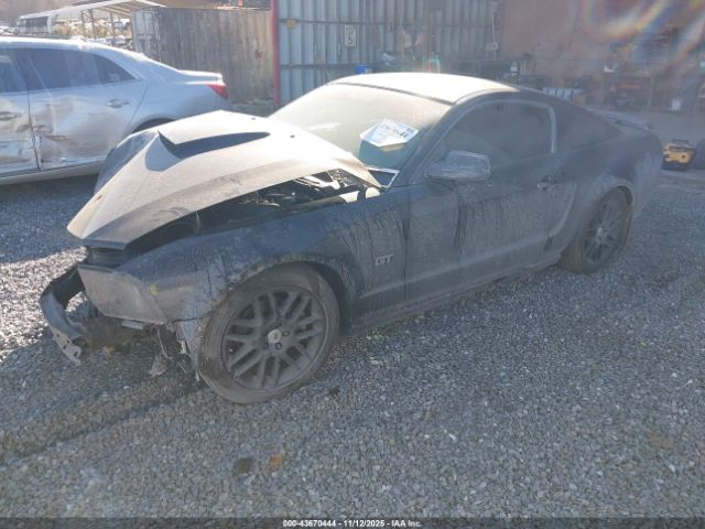 2008 FORD MUSTANG 1ZVHT82H785154518 Photo 1