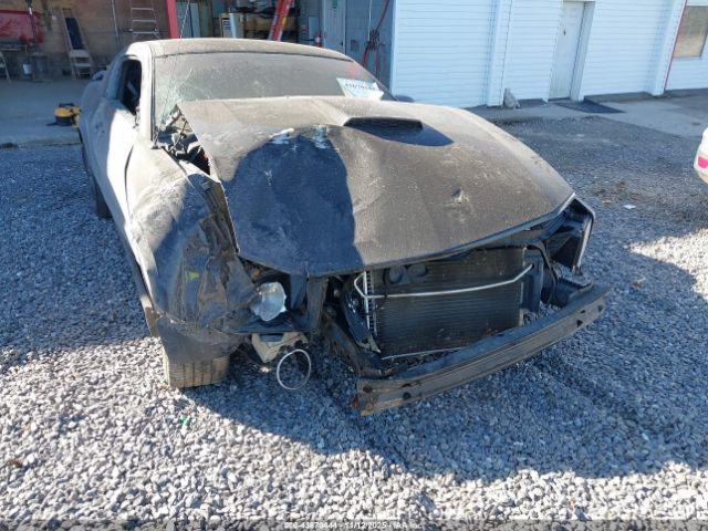 2008 FORD MUSTANG 1ZVHT82H785154518 Photo 5