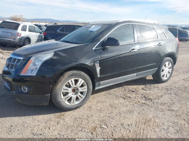 2010 CADILLAC SRX 3GYFNAEY5AS601540 Photo 1