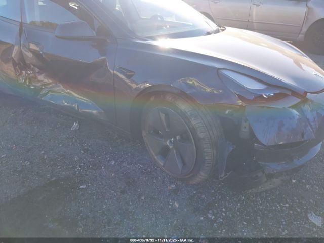2023 TESLA MODEL 3 5YJ3E1EA1PF639117 Photo 5