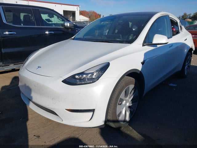 2023 TESLA MODEL Y 7SAYGDEE7PA035771 Photo 1
