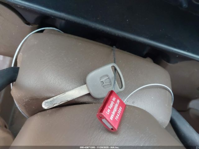 2004 HONDA CR-V JHLRD68454C015557 Photo 10