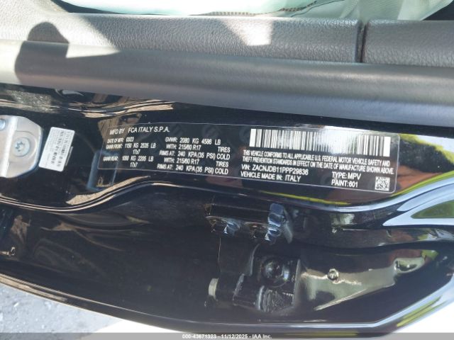 2023 JEEP RENEGADE ZACNJDB11PPP29836 Photo 8