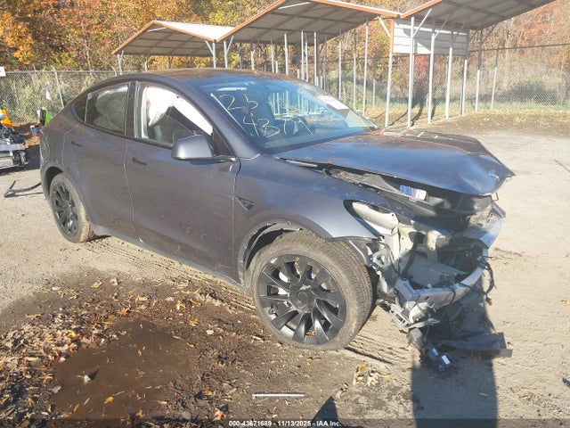 2023 TESLA MODEL Y 7SAYGAEE9PF948825 Photo 0