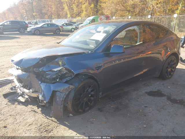 2023 TESLA MODEL Y 7SAYGAEE9PF948825 Photo 1