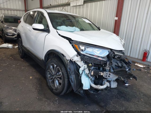 2021 HONDA CR-V 5J6RW2H80MA007679