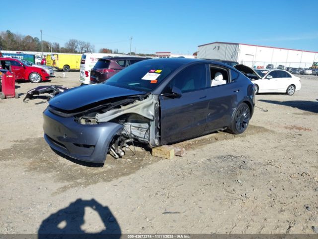 2023 TESLA MODEL Y 7SAYGDEF6PF701384 Photo 1