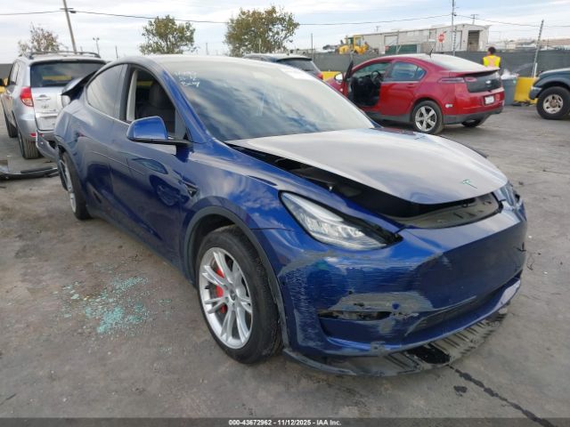 2020 TESLA MODEL Y 5YJYGDEE3LF023076