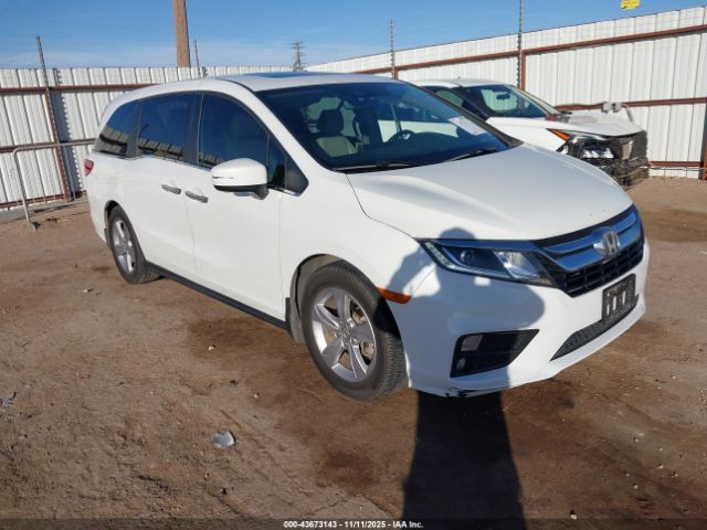 2020 HONDA ODYSSEY 5FNRL6H70LB052155