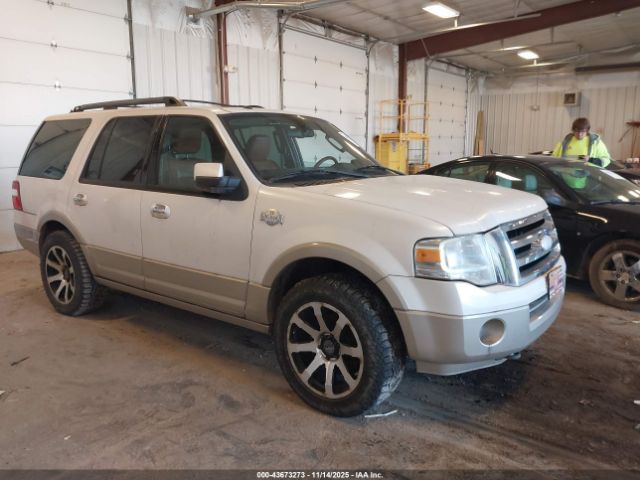 2010 FORD EXPEDITION 1FMJU1J51AEA34358