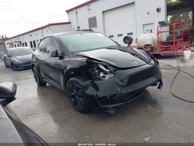 2025 TESLA MODEL Y 7SAYGDEE9SA355439 Photo 0
