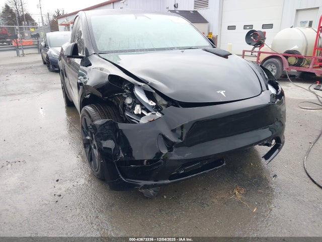 2025 TESLA MODEL Y 7SAYGDEE9SA355439 Photo 5
