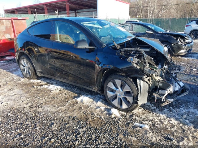 2023 TESLA MODEL Y 7SAYGDEE3PA209884 Photo 0