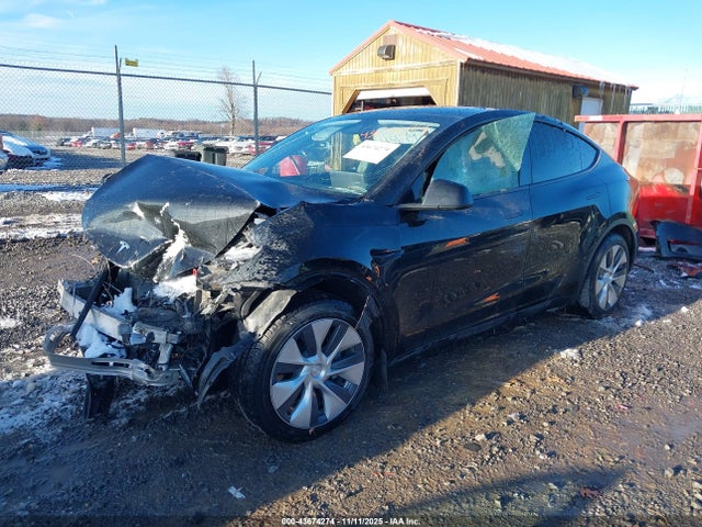 2023 TESLA MODEL Y 7SAYGDEE3PA209884 Photo 1