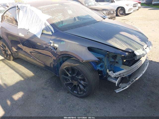 2021 TESLA MODEL Y 5YJYGDEE8MF061565 Photo 0