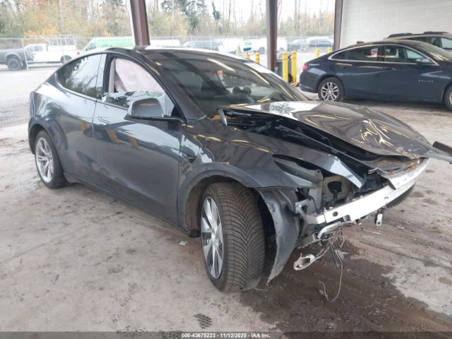 2023 TESLA MODEL Y 7SAYGDEE2PF868008