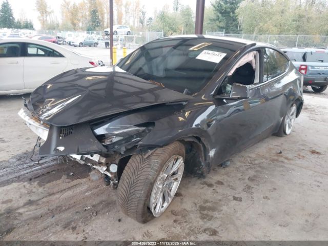 2023 TESLA MODEL Y 7SAYGDEE2PF868008 Photo 1
