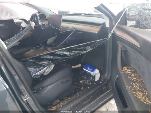 2023 TESLA MODEL Y 7SAYGDEE2PF868008 Photo 4