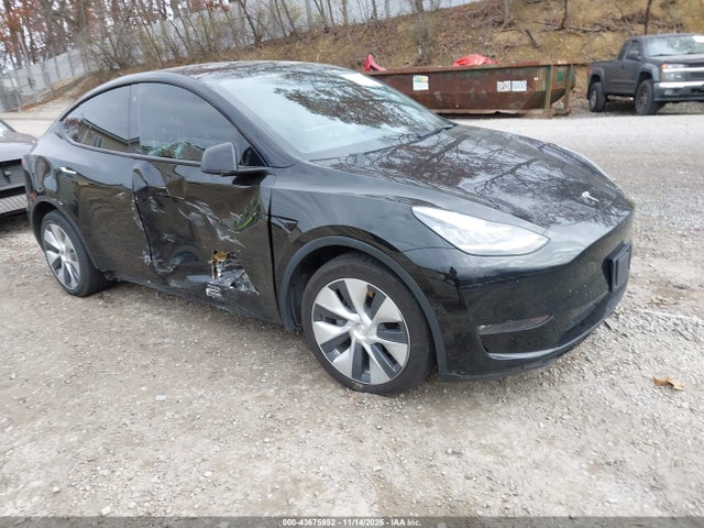 2021 TESLA MODEL Y 5YJYGDEEXMF194389 Photo 0
