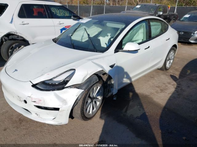 2023 TESLA MODEL 3 5YJ3E1EBXPF621305 Photo 1