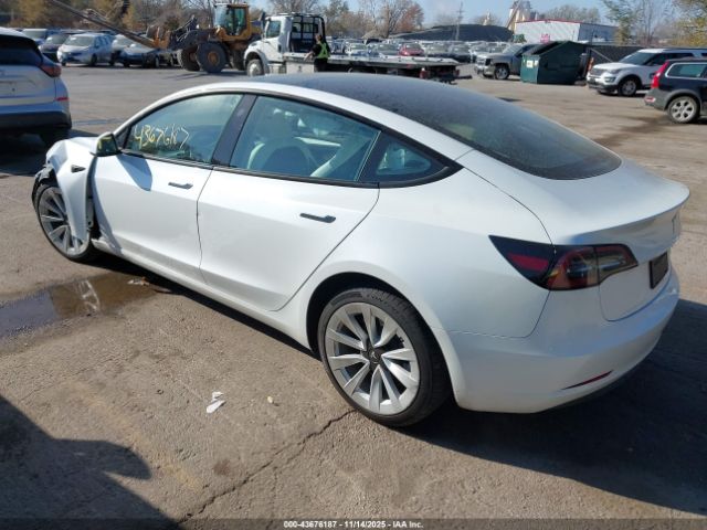 2023 TESLA MODEL 3 5YJ3E1EBXPF621305 Photo 2