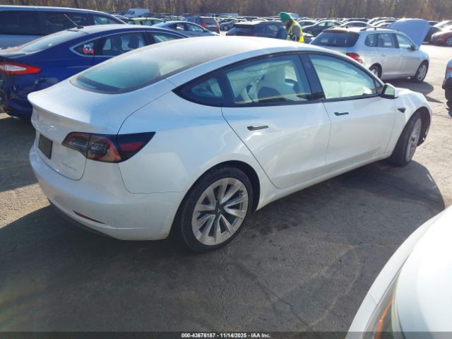 2023 TESLA MODEL 3 5YJ3E1EBXPF621305 Photo 3