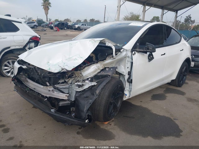 2026 TESLA MODEL Y 7SAYGDEE8TF409950 Photo 1